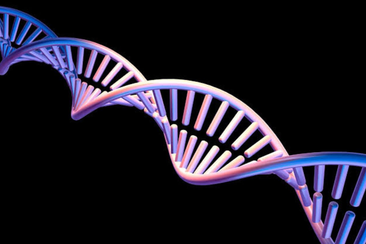 How 8-Letter DNA Patents Bypass the Supreme Court Gene Ban