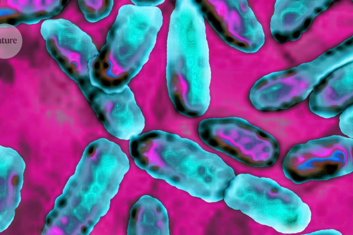 Air Pollution Bacteria: Why Smog is a Biological Threat